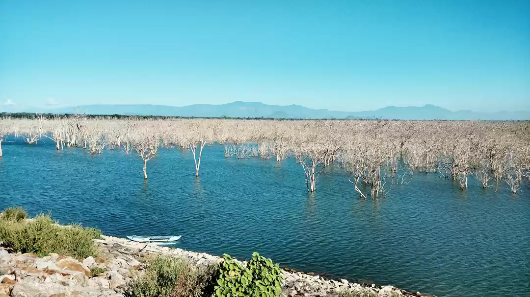 Photo of A trip to Sri Lanka,
