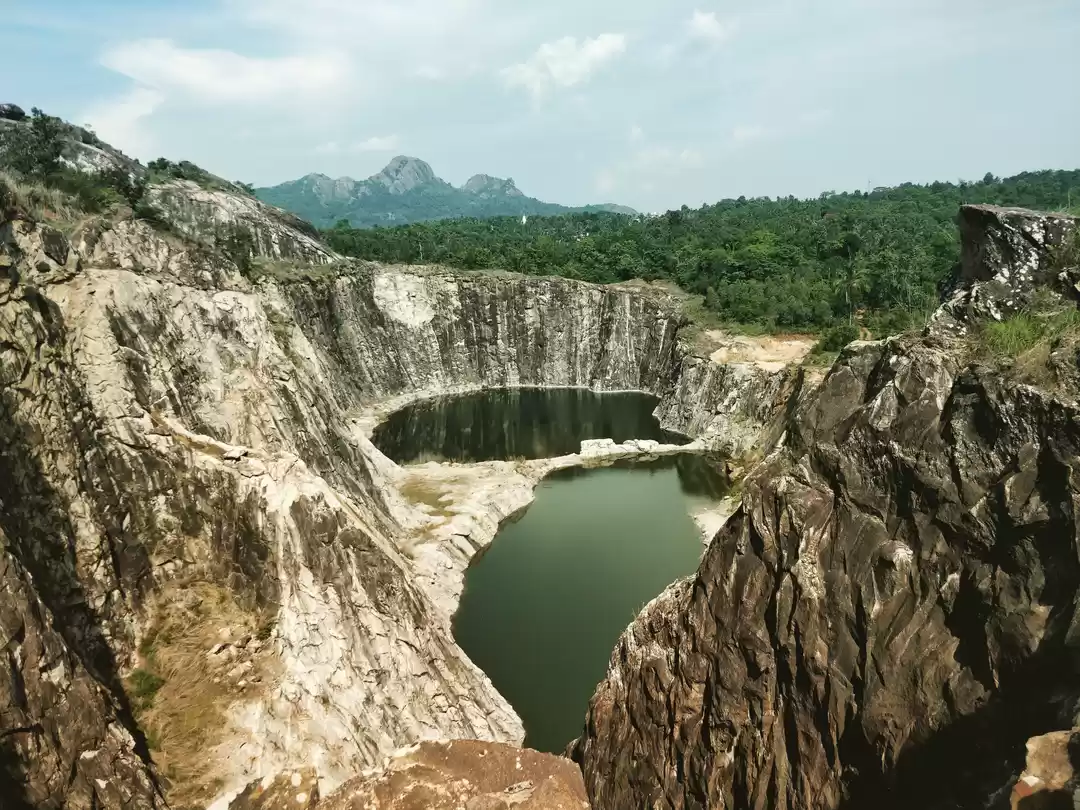 Photo of Wayanad & Kodaikanal