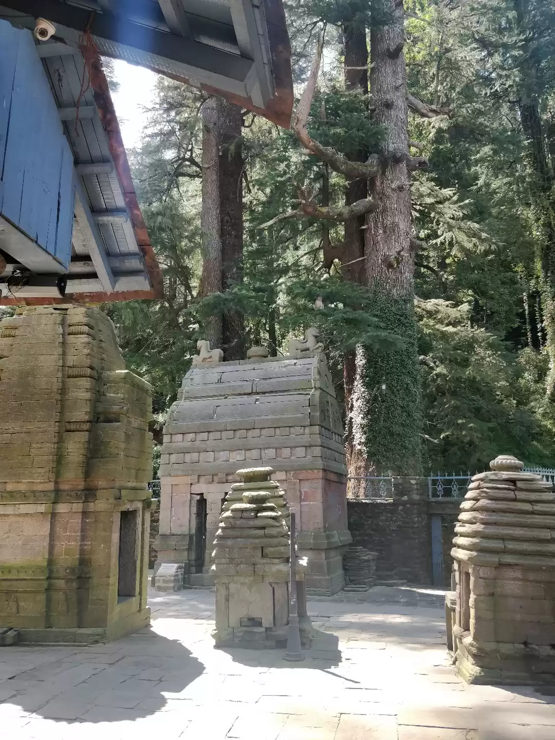 Photo of Pine,Bells and Kilmo