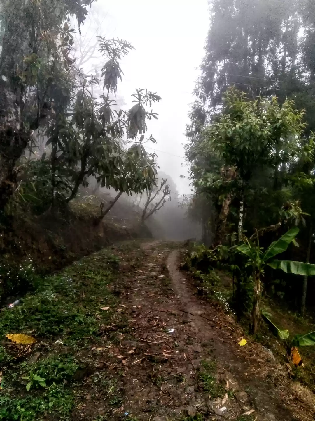 Photo of Two days in the arm