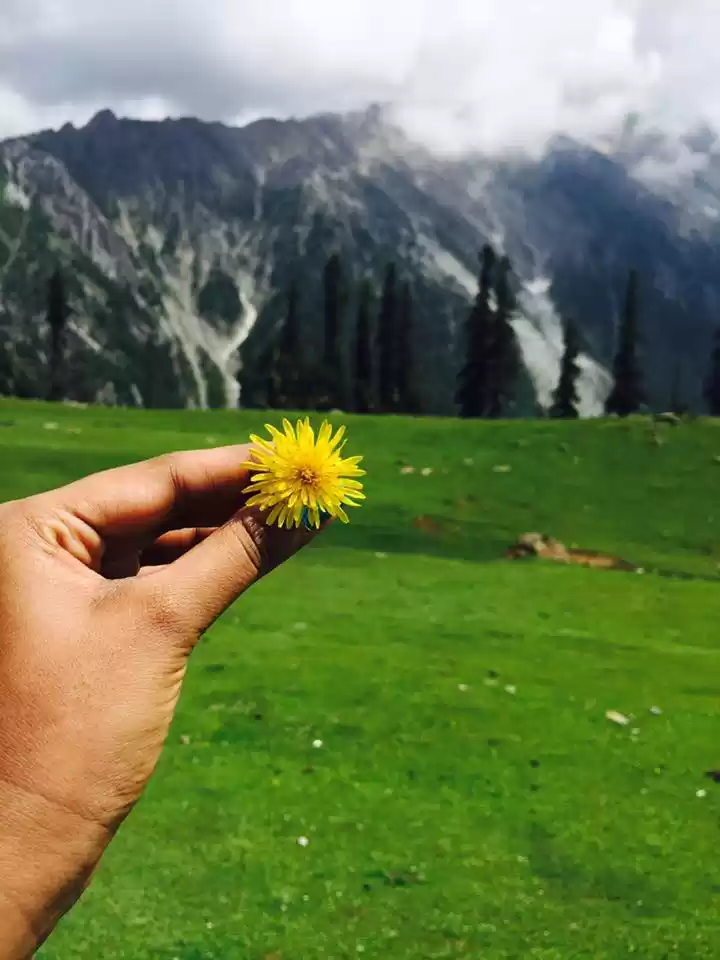 Photo of Things I hate about 