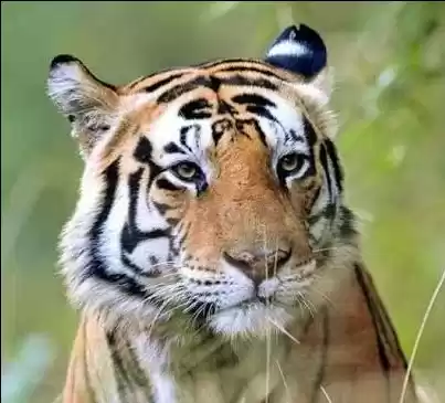 Photo of Close to Nature in M