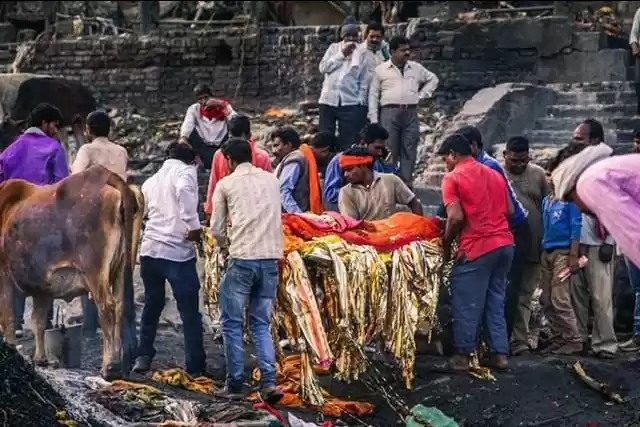 Photo of Kaashi - An Old Soul