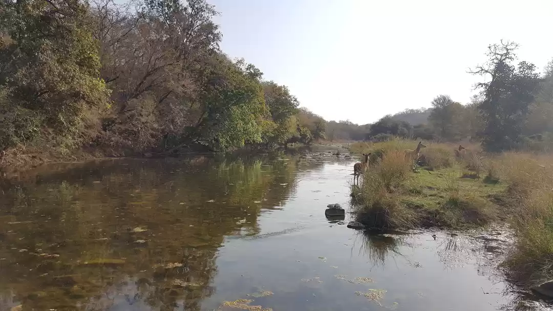 Photo of Adventures to find t