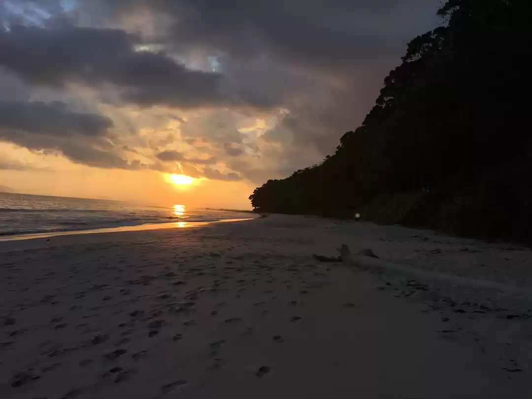 Photo of Discover Andaman Isl