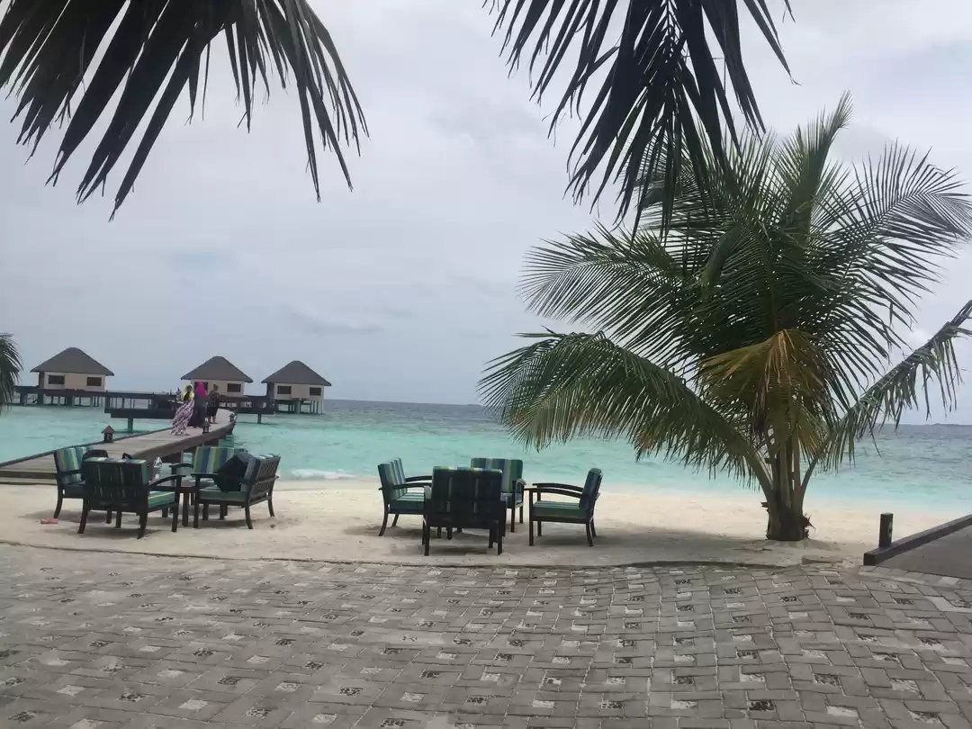 Photo of Luxury escape- Maldi