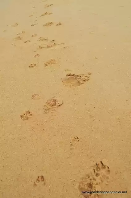 Photo of A Journey across Ind