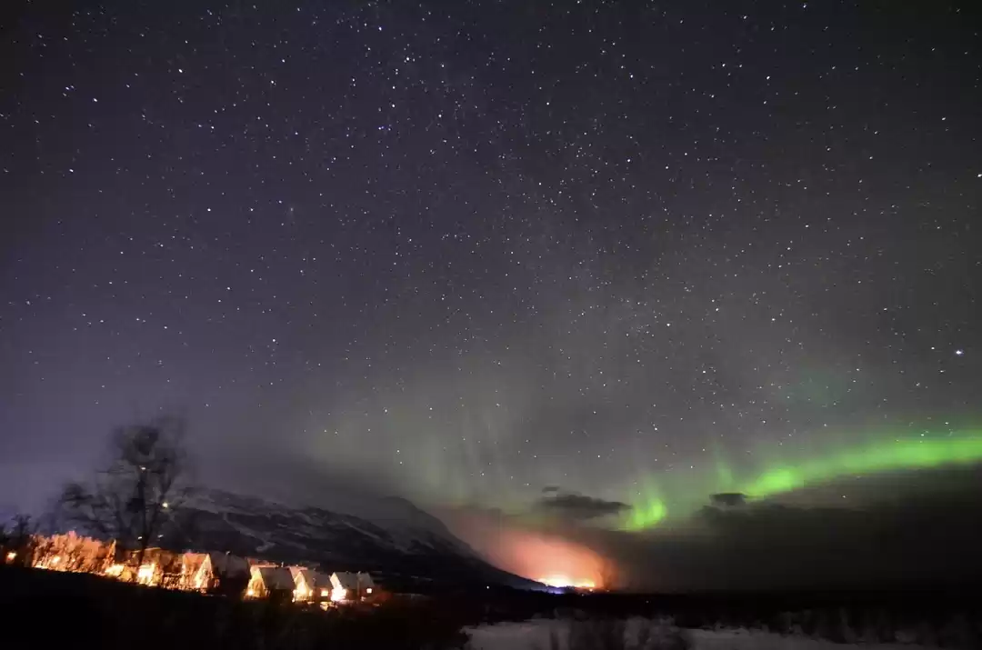 Photo of Want To Chase The No