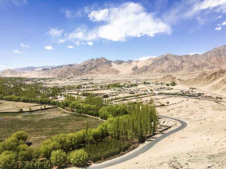 This Lush Green Oasis Is Every Travellers Paradise Leh Ladakh Tripoto