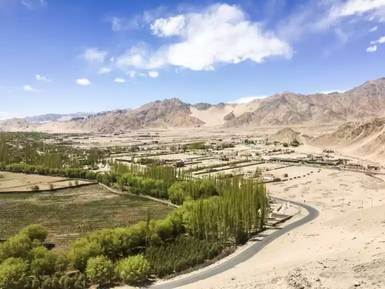 Photo of This Lush Green Oasi