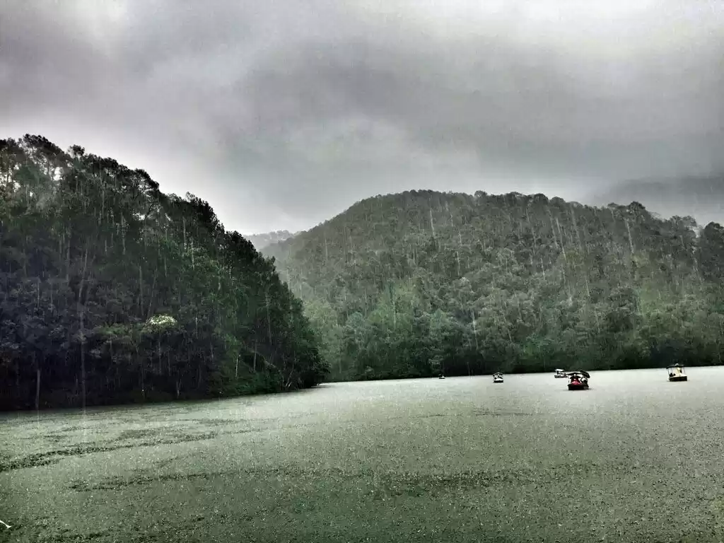 Photo of Pangot, Sattal,Kilb