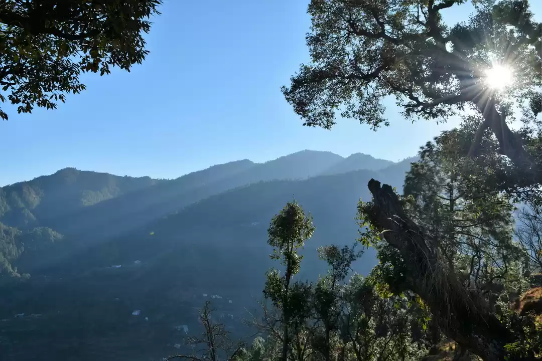 Photo of Short of time? Visit