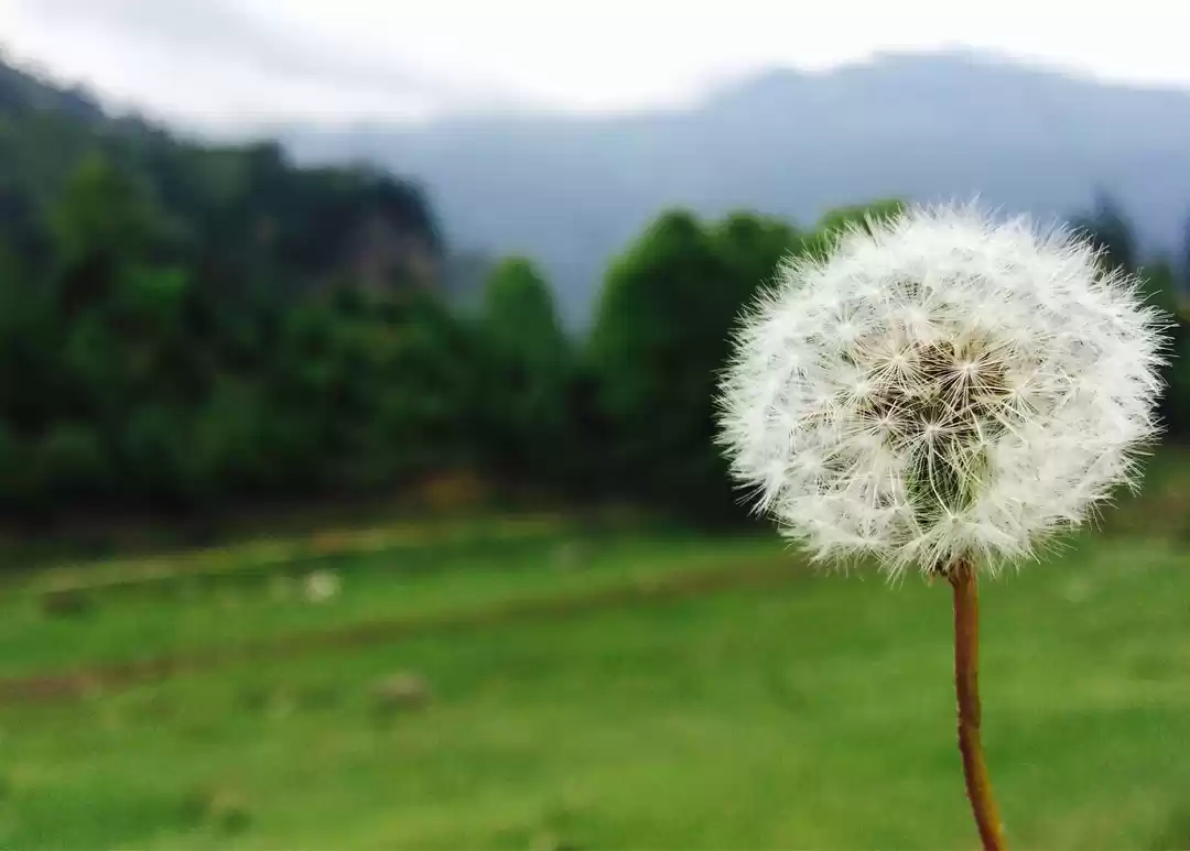 Photo of A Day in Burwa