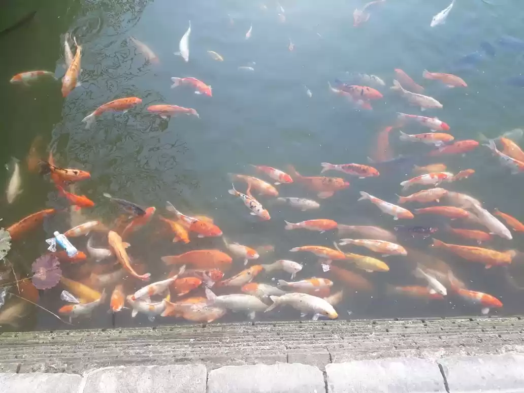 Photo of Vietnam: Beyond the 