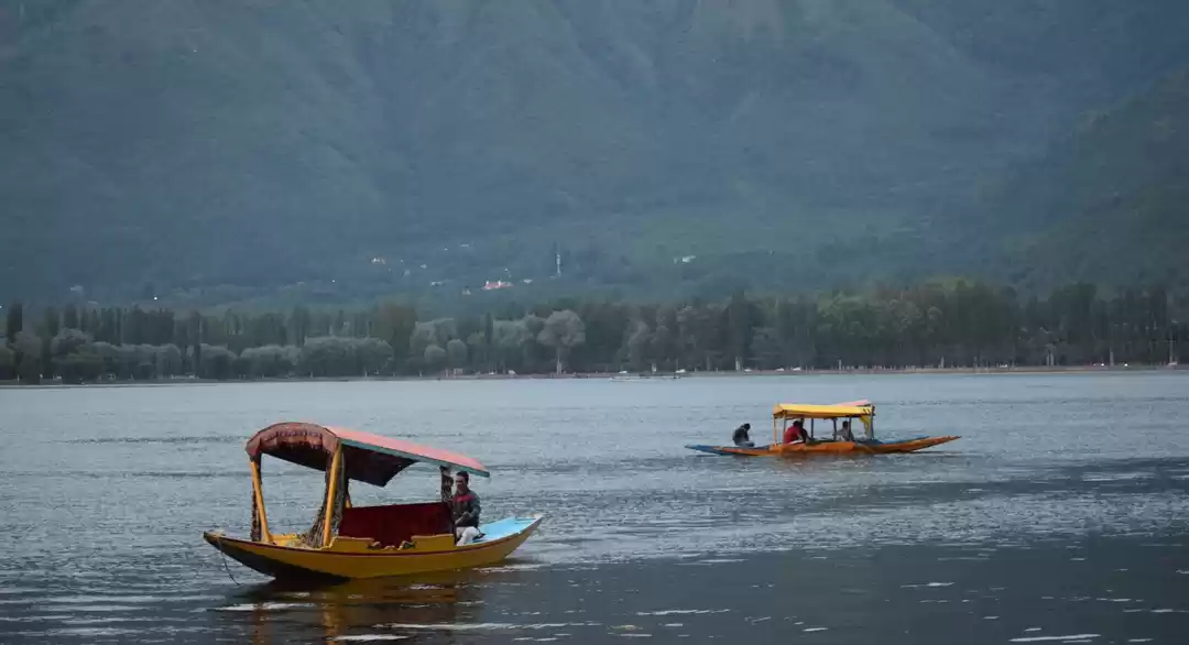Photo of Kashmir- The vulnera