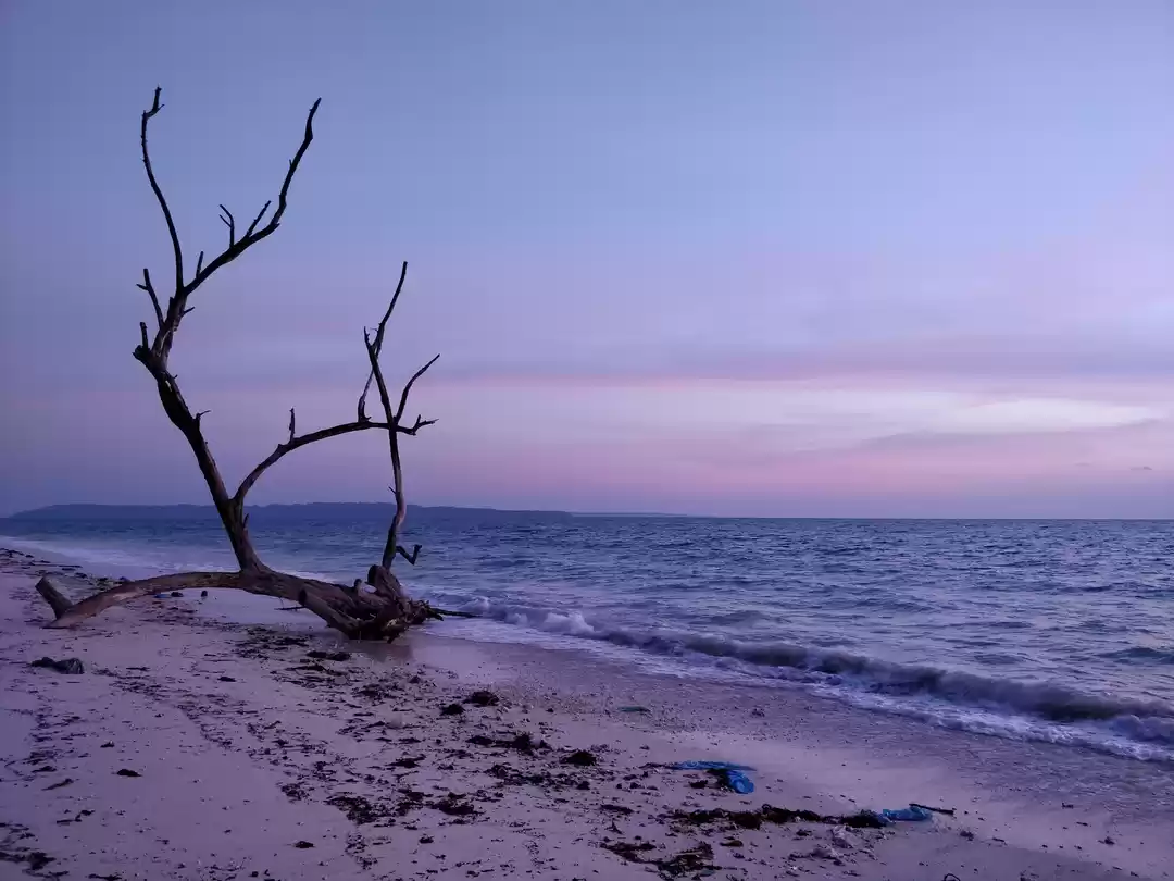 Photo of A Journey of firsts