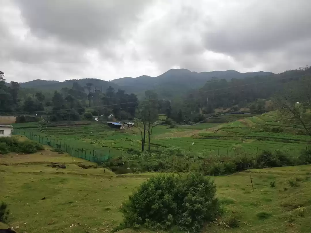 Photo of Ooty, like never bef