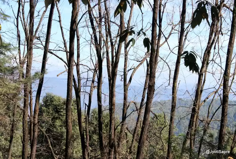 Photo of An autumn trip to Hi