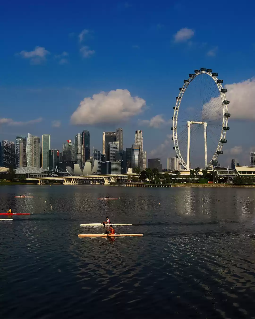 Photo of Admire Singapore’s s