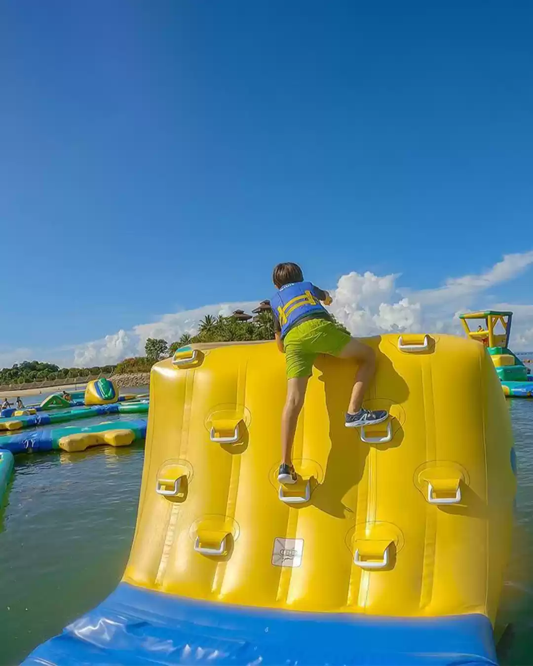 Photo of Dive, chase, swim an