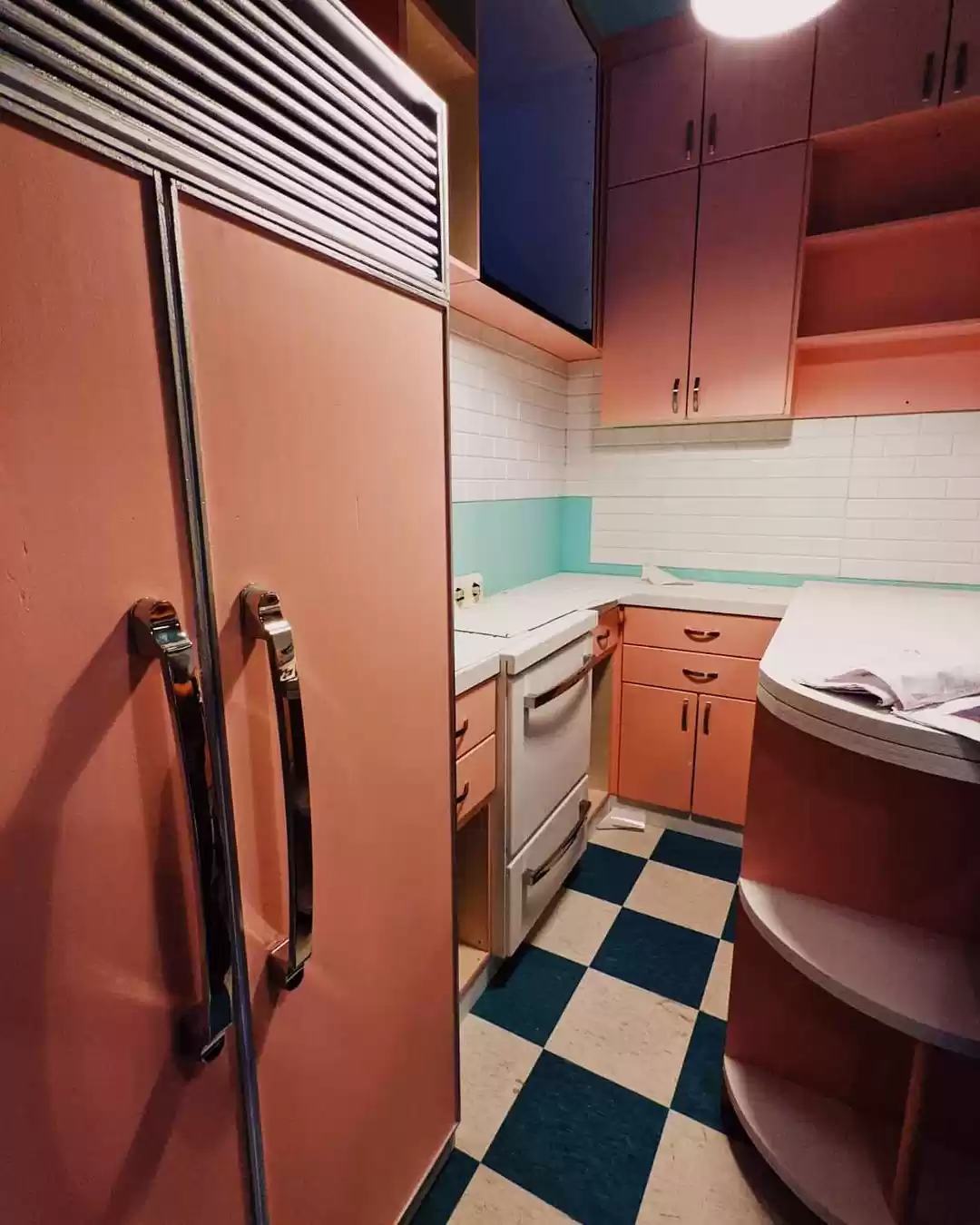 Photo of Find out what an ant