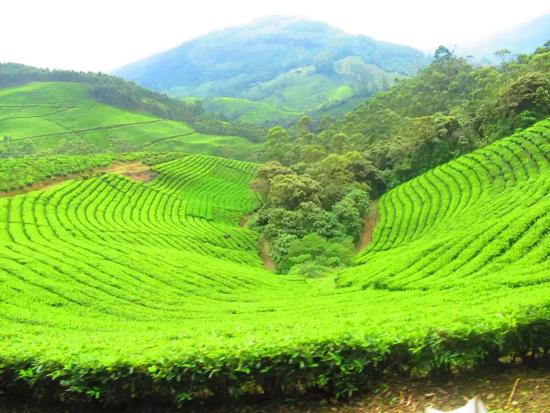 Photo of Kerala itinerary and