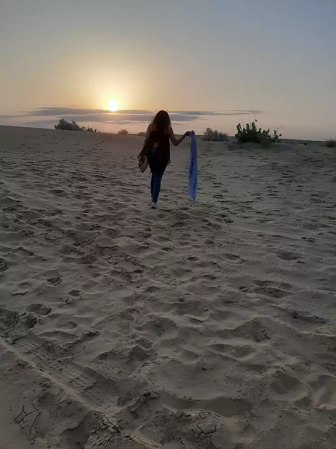 Photo of To the land of warri