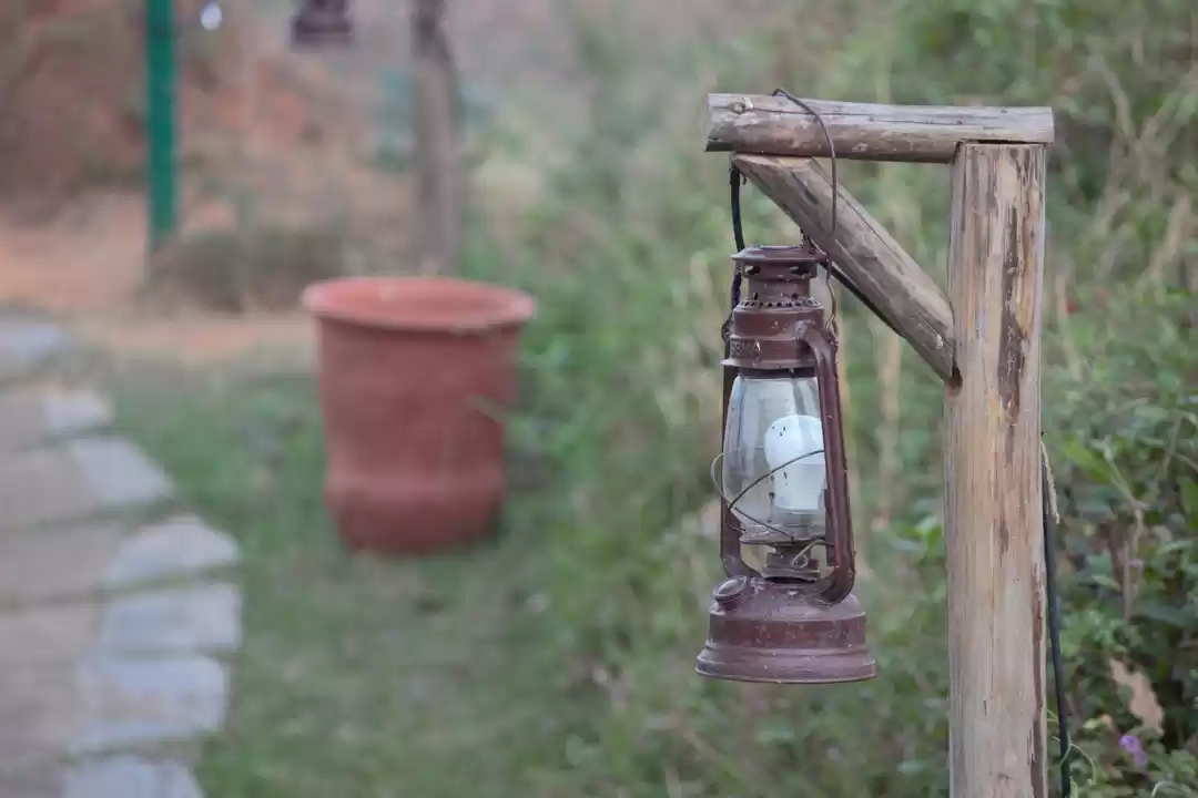 Photo of Travelogue: Kabini -