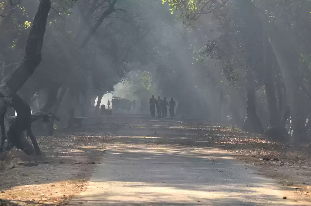 Photo of Bharatpur Bird Sanct