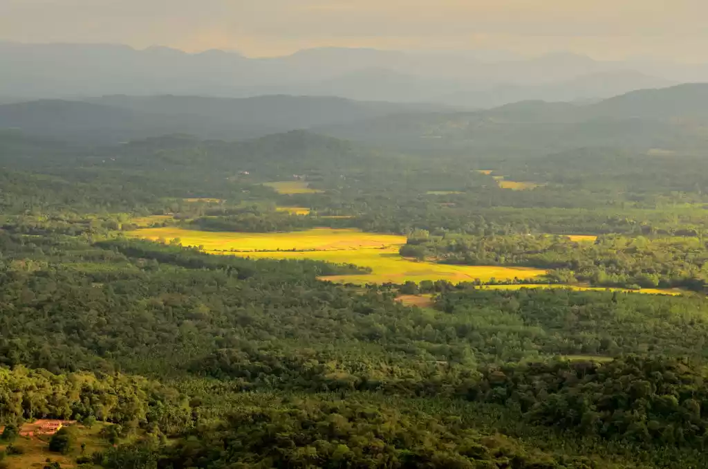 Photo of Agumbe-a short road