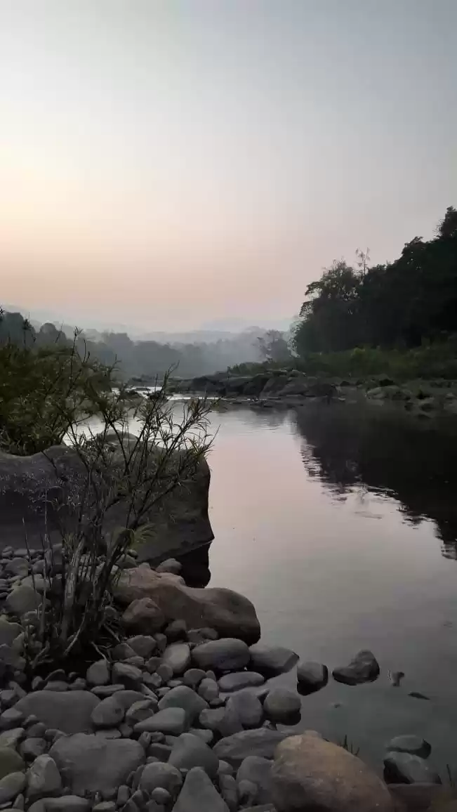 Photo of I Went Camping After