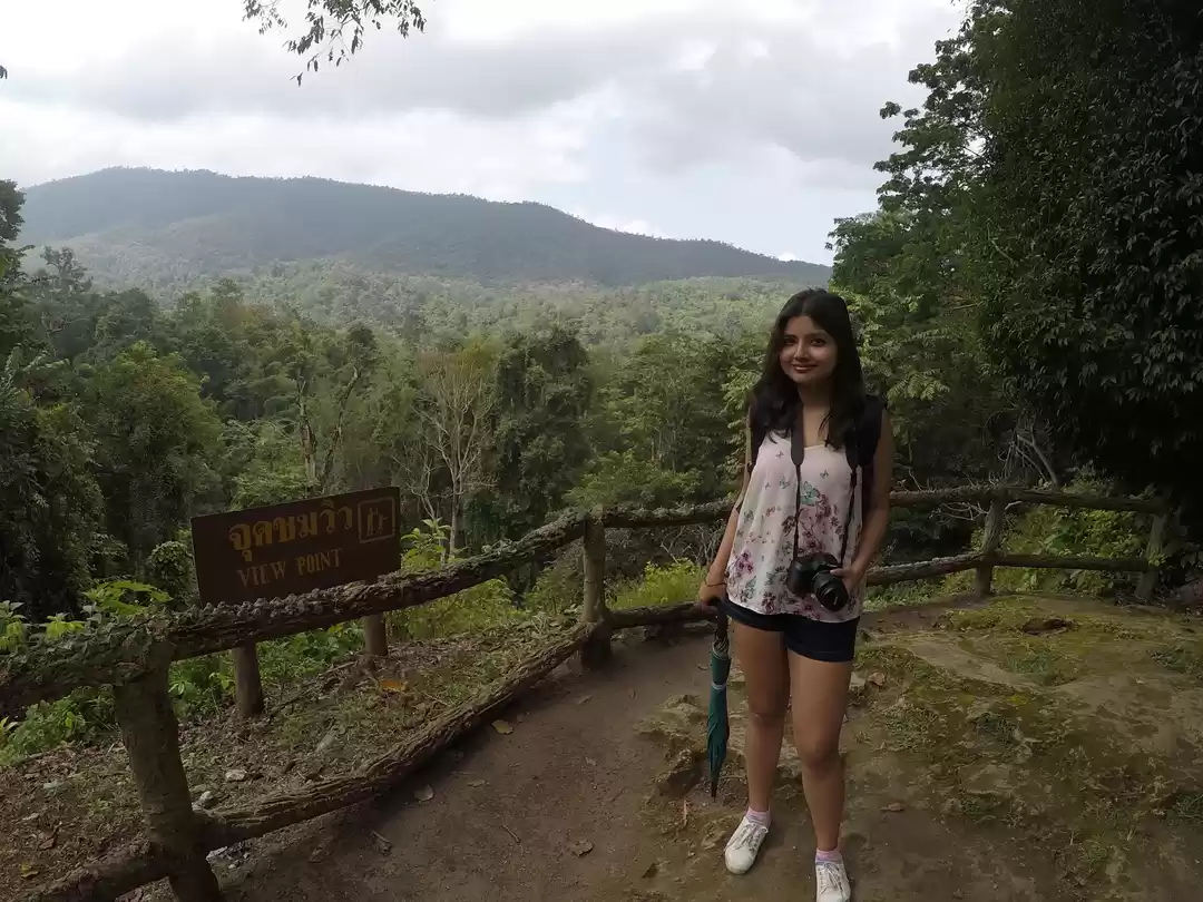 Photo of Have You Ever Climbe