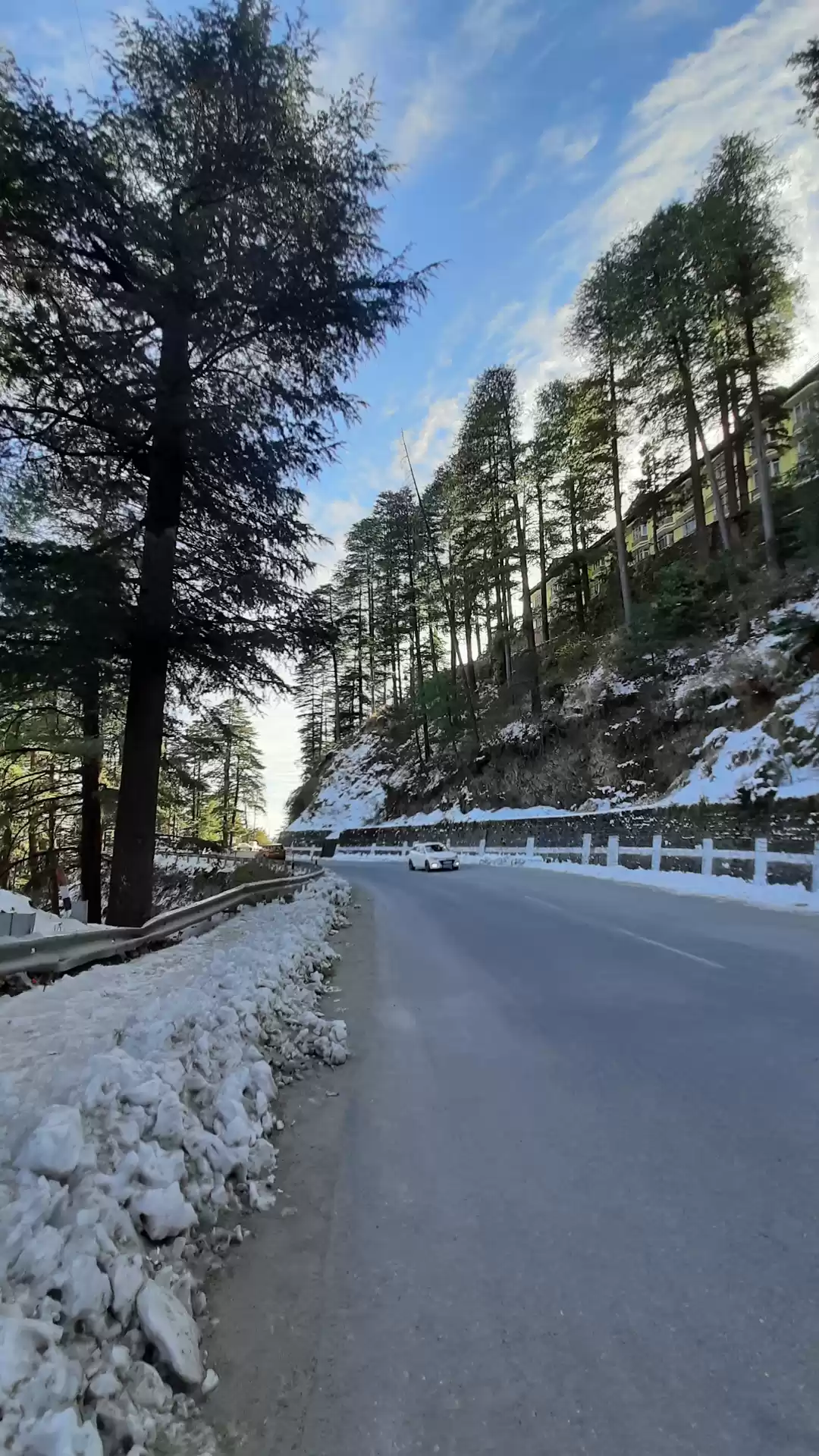 Photo of Why I Chose New Year