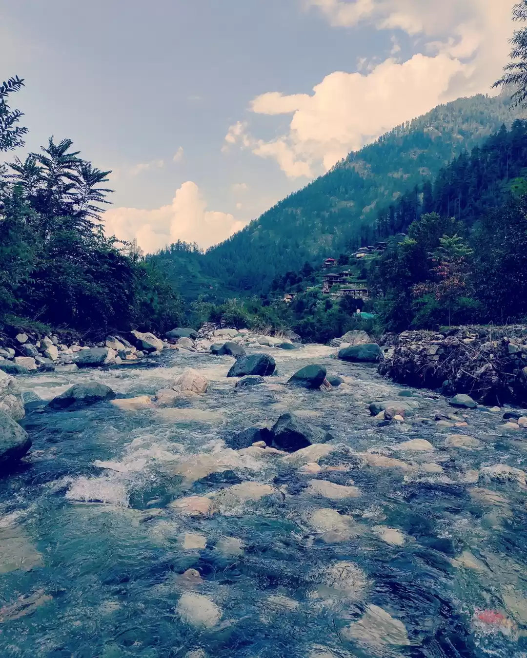 Photo of River Jibhi