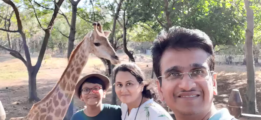 Photo of Our tallest friend -