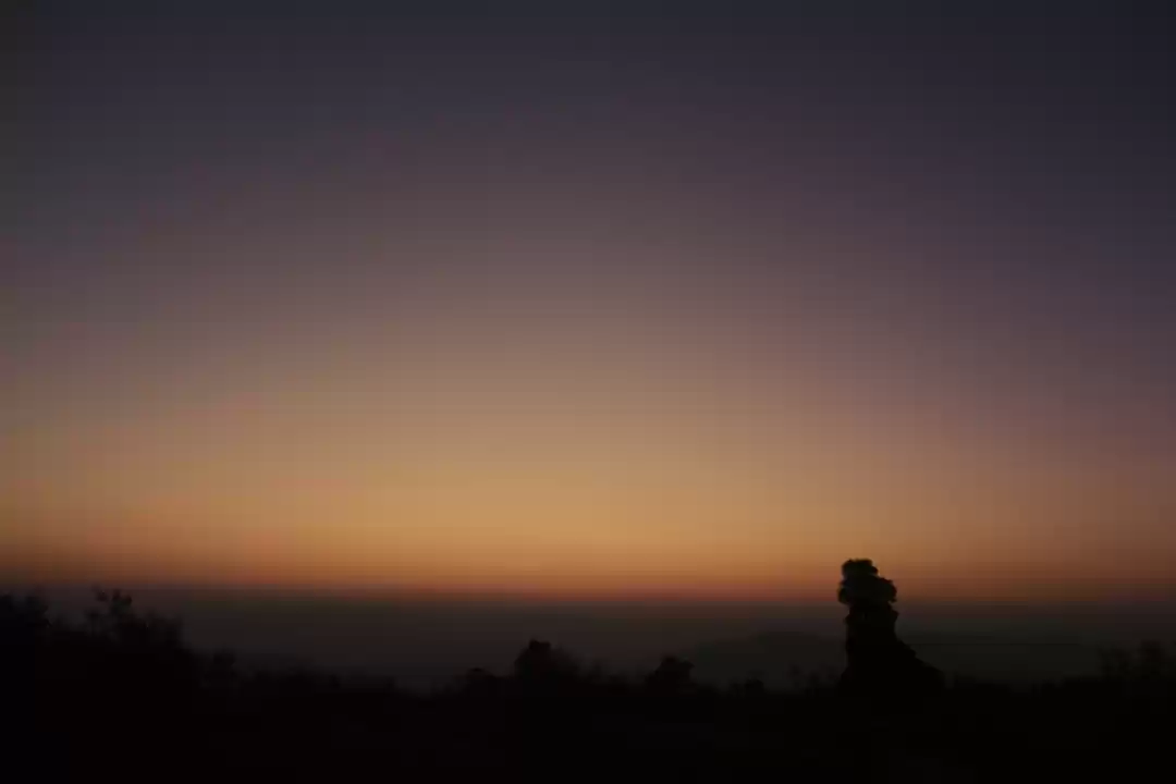 Photo of From the top!