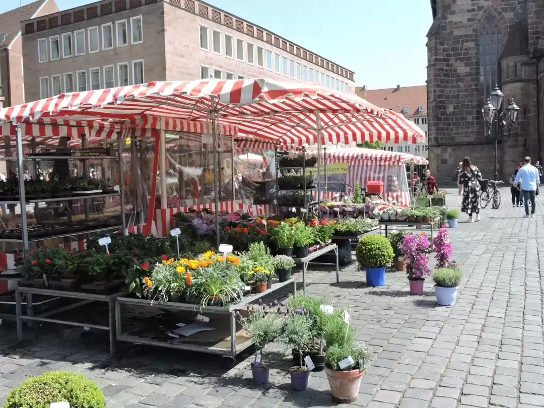 Photo of European trail #stre