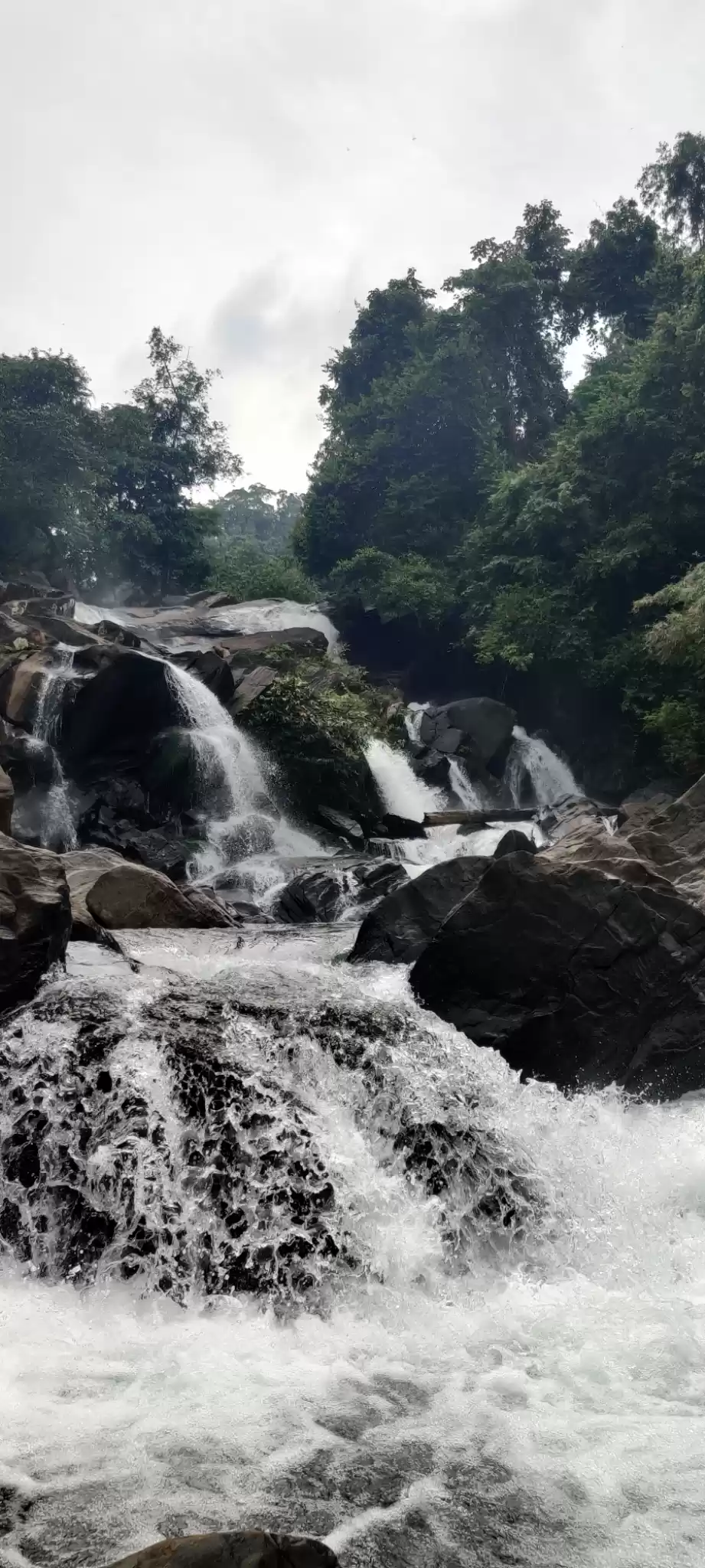 Photo of Mothugudem to MAREDU