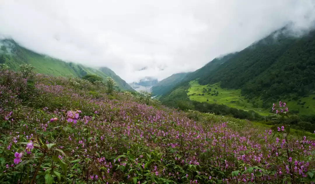 Photo of Bike trip to valley 