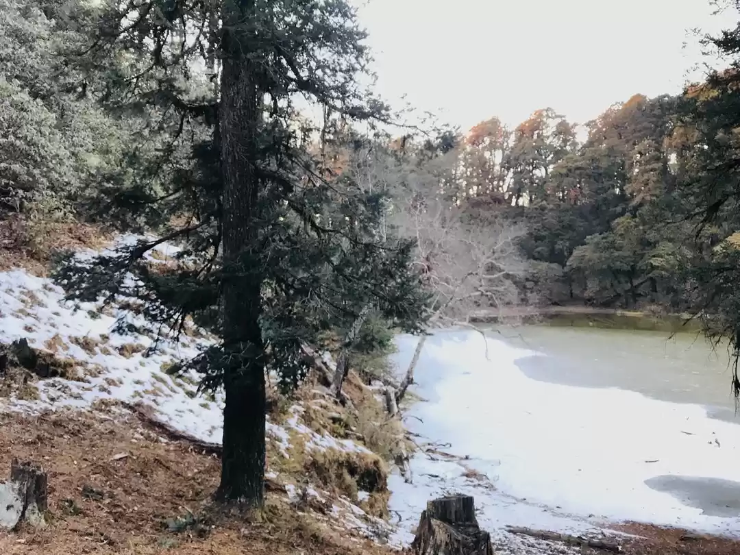 Photo of Through The Scenic R