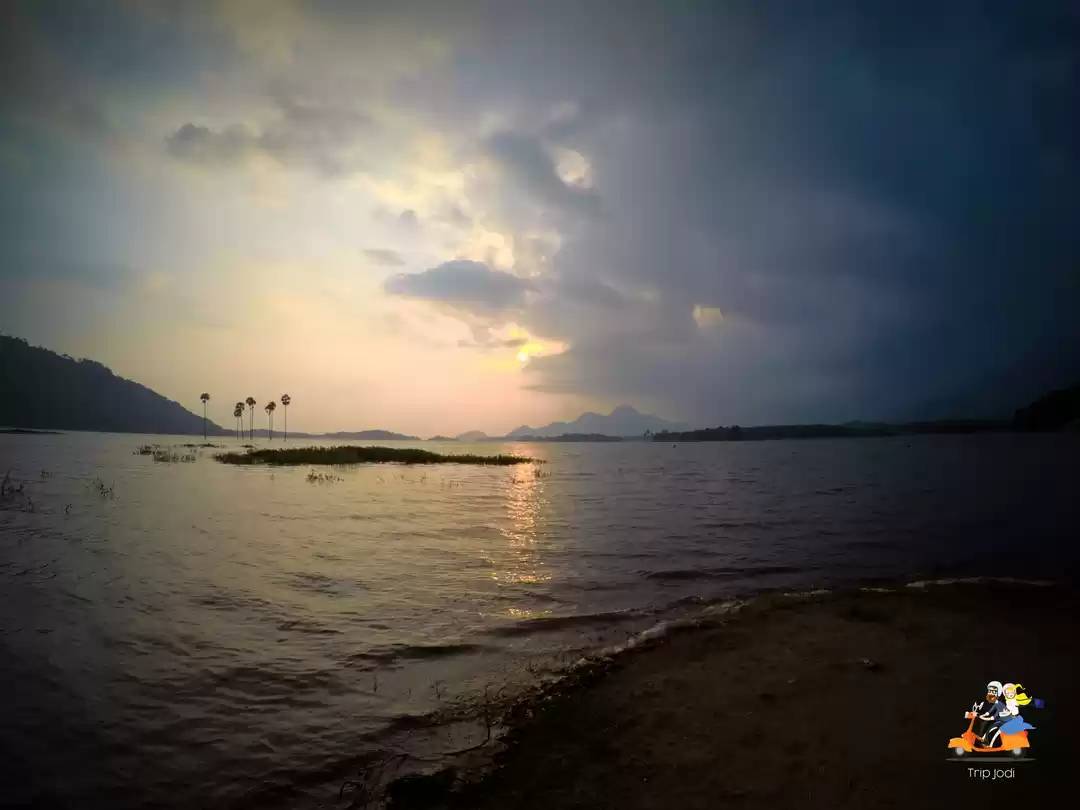 Photo of Kava Island - A crim