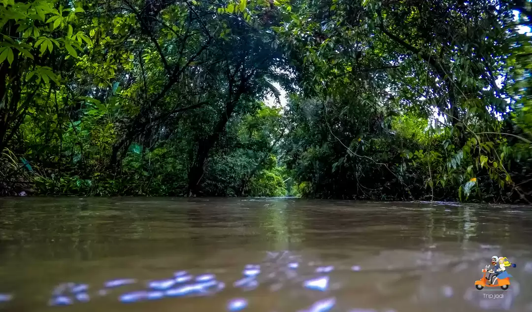 Photo of വീടിനടുത്തൊരു വിനോദസ