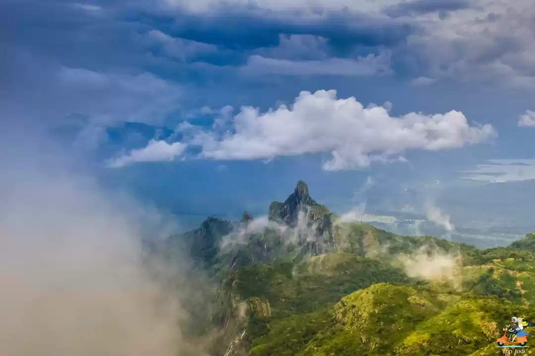 Photo of നീലഗിരിയിലെ ഹരിത താഴ