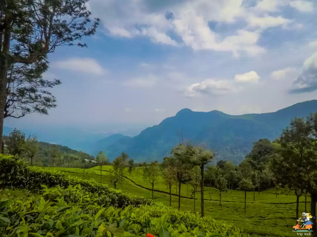 Photo of നീലഗിരിയിലെ ഹരിത താഴ