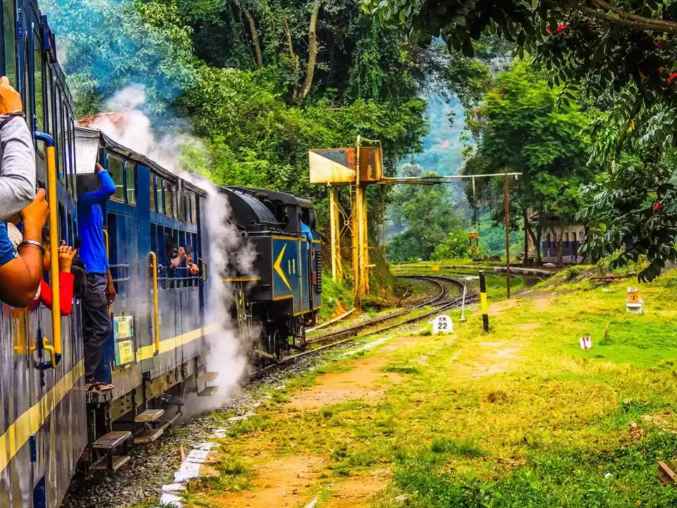 Photo of 5 Things Not Miss in