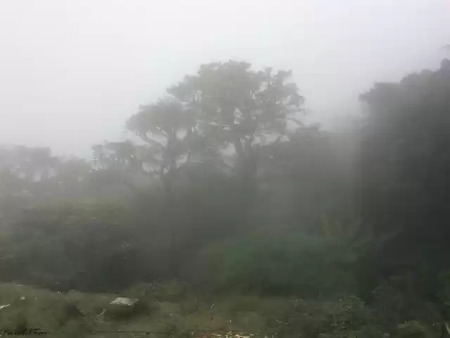 Photo of Tala Kavery – Birth