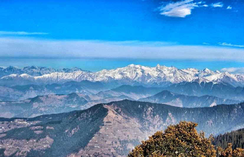 The Wilderness, Narkanda(Himachal Pradesh)- Reviews, Photos & Book |  TripOffBeat