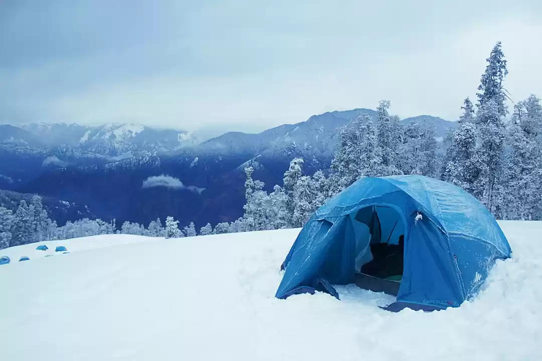 Photo of The Frozen Courage 