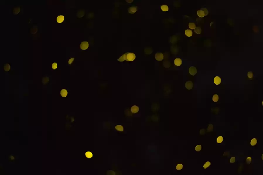 Photo of Rajmachi: Fire on th