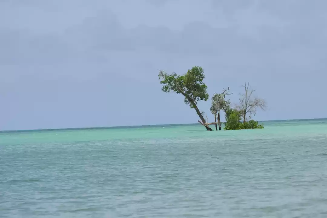 Photo of Beautiful Havelock &